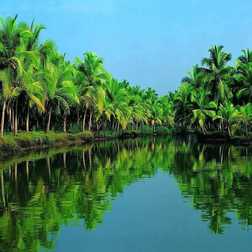 Romantic Kerala